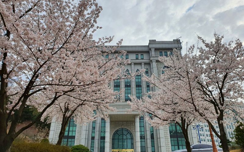 TRƯỜNG ĐẠI HỌC BAEKSEOK – TRƯỜNG ĐẠI HỌC TRẺ NỔI BẬT