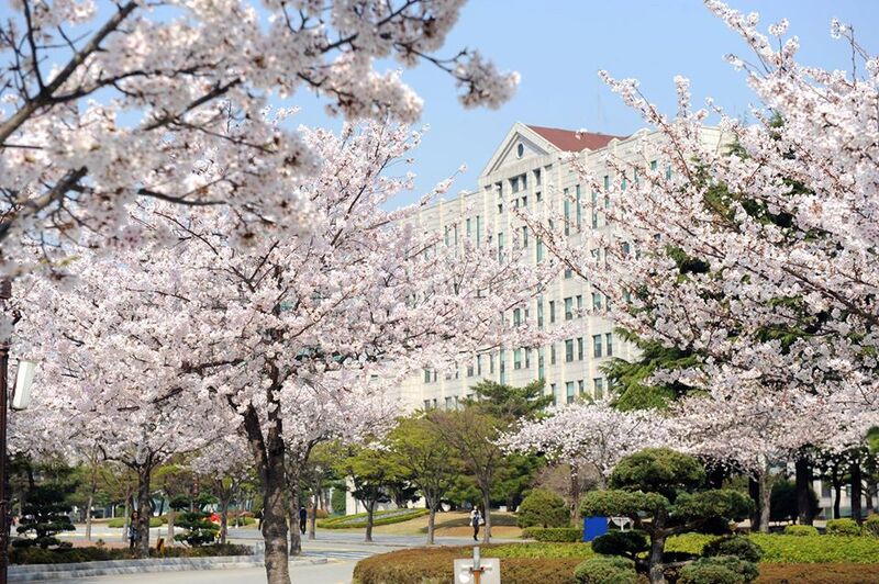 TRƯỜNG ĐẠI HỌC QUỐC GIA PUKYONG HÀN QUỐC – 부경대학교